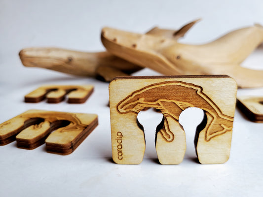 Whales and Marine Debris