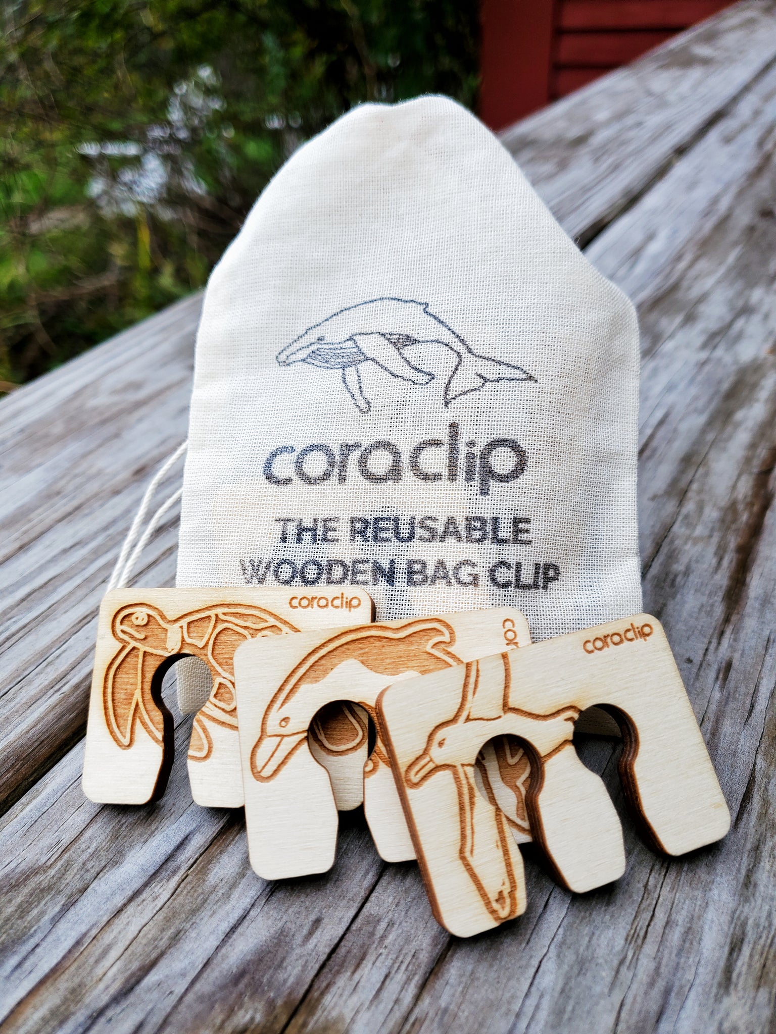 Coraclip Gift Bag – Cora Ball